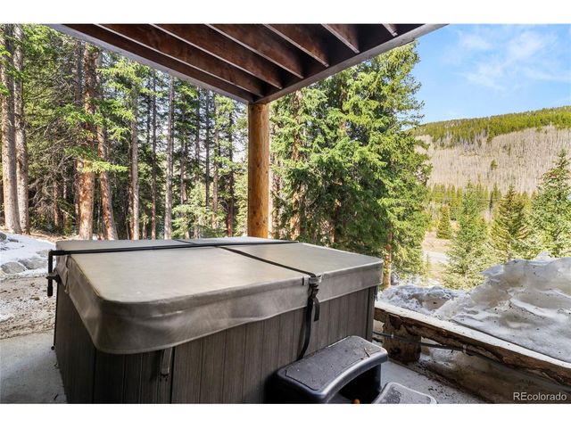 50 Cooney Ct, Blue River, CO 80424