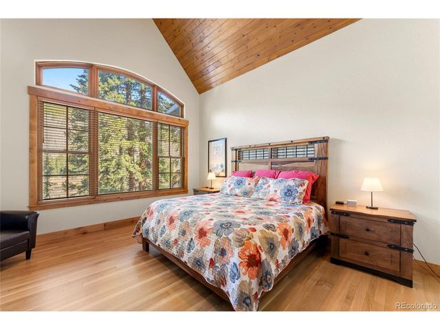 50 Cooney Ct, Blue River, CO 80424