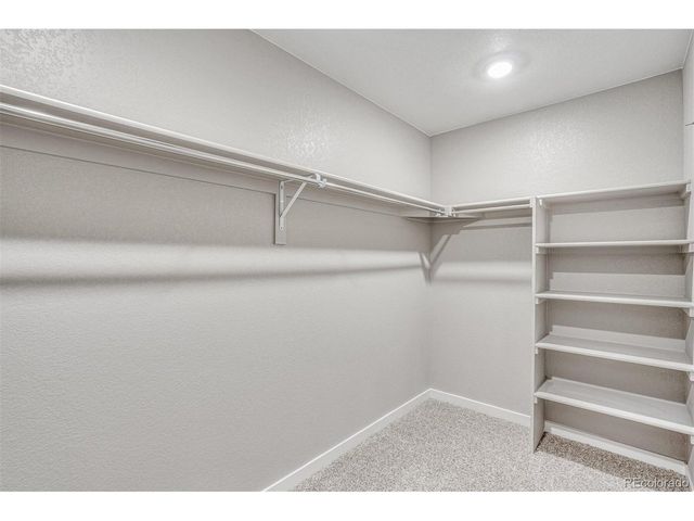 831 Elias Tarn Dr, Severance, CO 80550