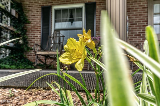 97 Sunrise Avenue, Greeneville, TN 37745