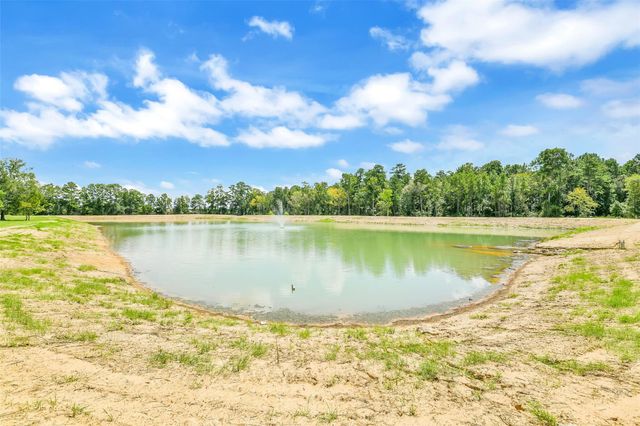 201 Rolling Oaks Drive, Hockley, TX 77447