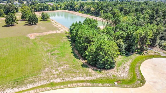 201 Rolling Oaks Drive, Hockley, TX 77447