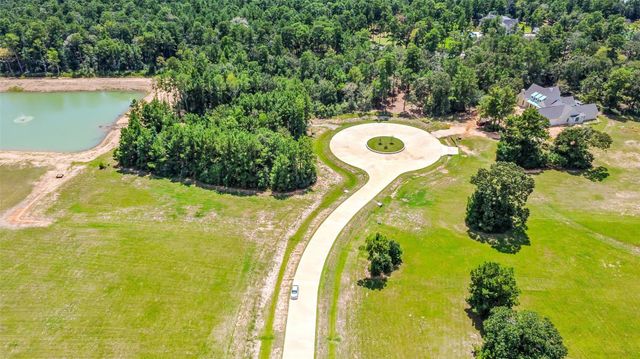 201 Rolling Oaks Drive, Hockley, TX 77447