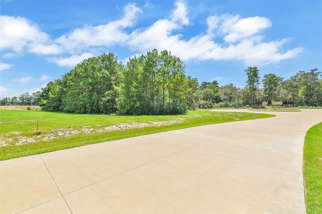 201 Rolling Oaks Drive, Hockley, TX 77447