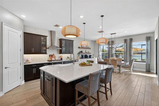 28501 PICANA LANE, Wesley Chapel, FL 33543