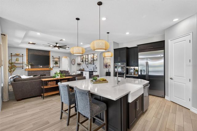 28501 PICANA LANE, Wesley Chapel, FL 33543