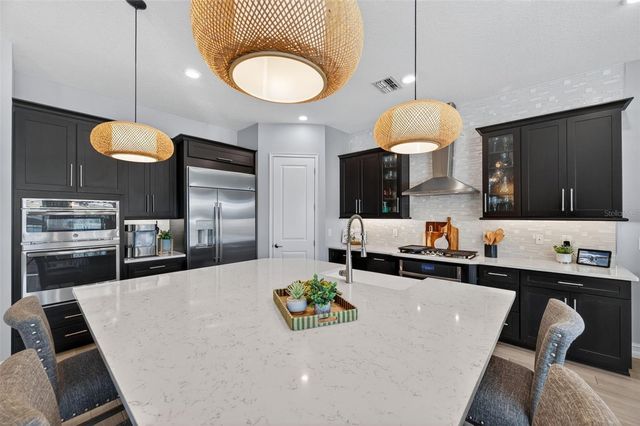 28501 PICANA LANE, Wesley Chapel, FL 33543