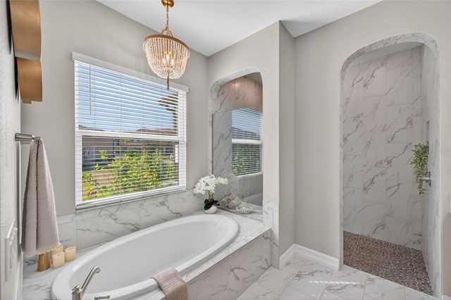 28501 PICANA LANE, Wesley Chapel, FL 33543