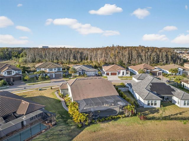 28501 PICANA LANE, Wesley Chapel, FL 33543