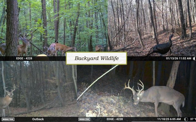 852 Old Grand Center Road, Chickamauga, GA 30707