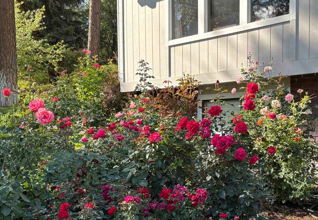 11613 E 48th Ave, Spokane Valley, WA 99206