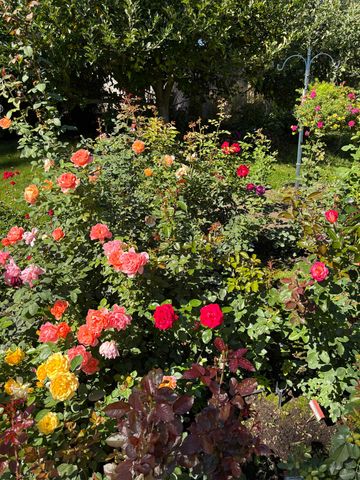 11613 E 48th Ave, Spokane Valley, WA 99206