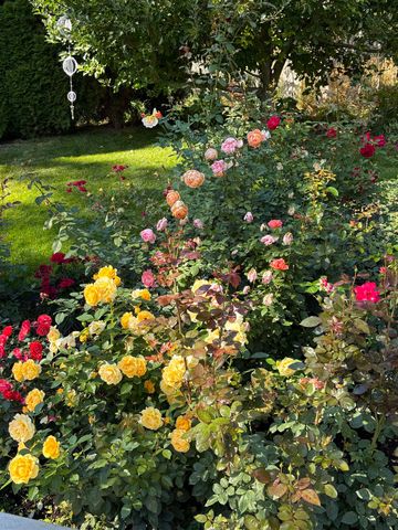 11613 E 48th Ave, Spokane Valley, WA 99206