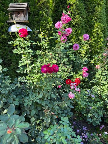 11613 E 48th Ave, Spokane Valley, WA 99206