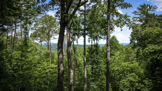 290 Graham Court, Ellijay, GA 30540