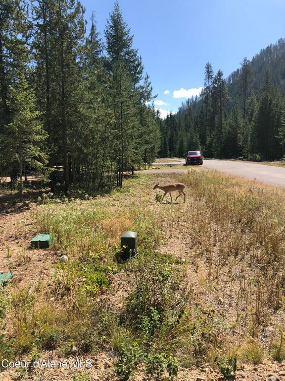 L25 TRACY LANE, Priest Lake, ID 83856