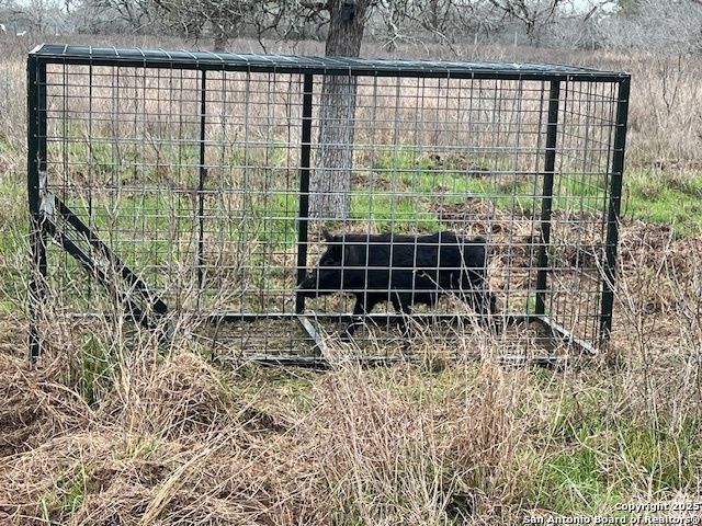 606 county road 222, Nixon, TX 78140