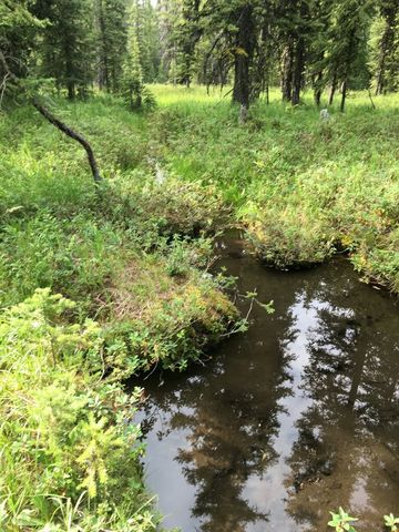 NHN Michael Davitt and the KAN lode Granite mining Road, Philipsburg, MT 59858 property photo