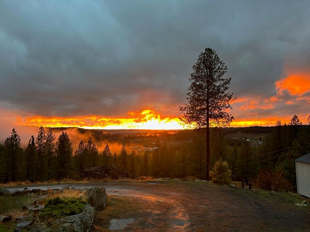 15009 E Cooper Rd, Mead, WA 99021