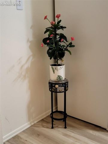 2428 E Monument Street, Colorado Springs, CO 80909