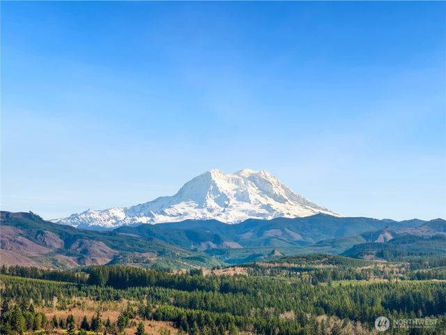 45615 162nd Avenue E, Eatonville, WA 98328