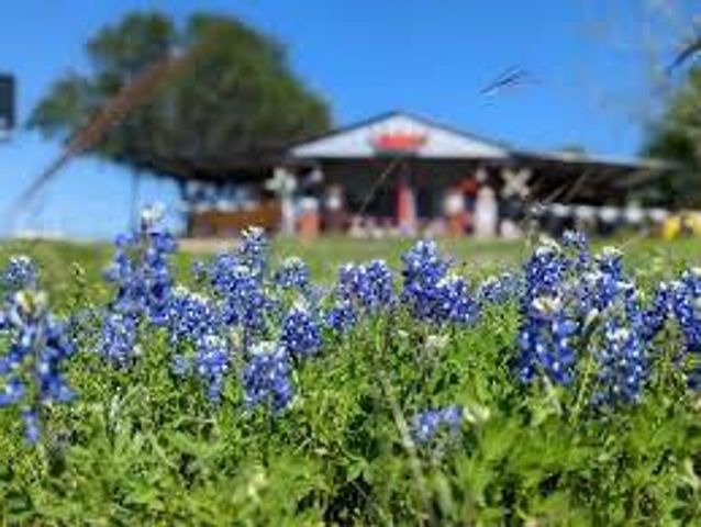 000 W Lot 31 Reserve At Chapel Hill Rd W, Chappell Hill, TX 77880