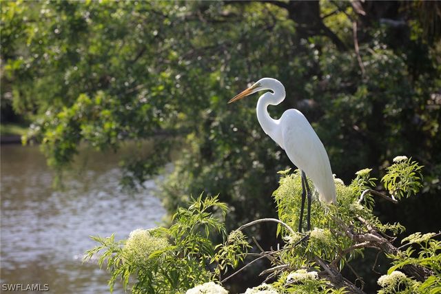 517 Devils LN, Naples, FL 34103