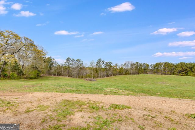 22833 Ga Highway 100, Franklin, GA 30217