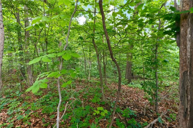 Lot 8 Charlene Lane, Bella Vista, AR 72715