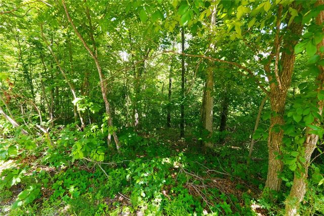 Lot 8 Charlene Lane, Bella Vista, AR 72715
