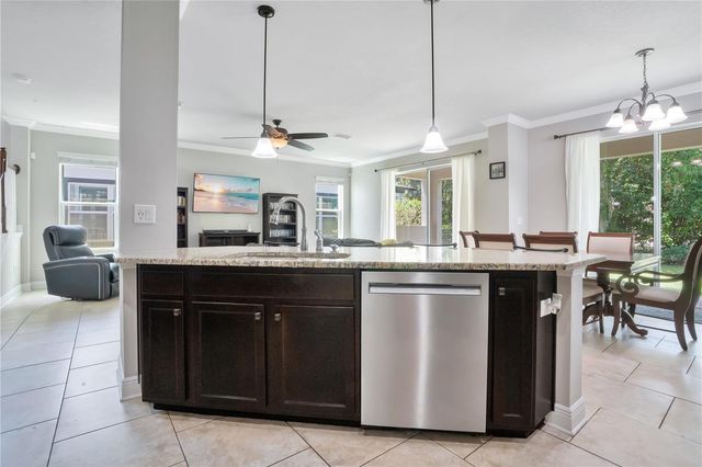 16308 BAYBERRY VIEW DRIVE, Lithia, FL 33547