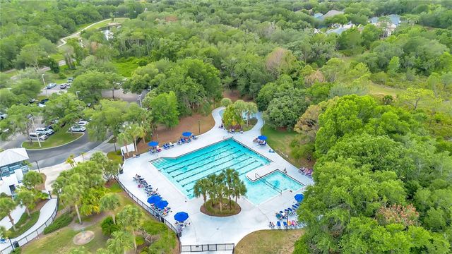 16308 BAYBERRY VIEW DRIVE, Lithia, FL 33547