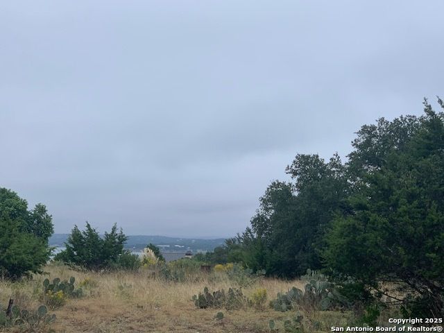 523 OAK SHORES DR, Canyon Lake, TX 78133