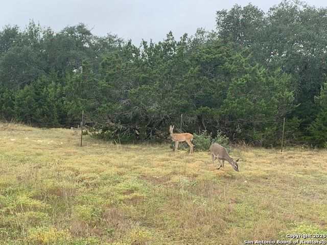 523 OAK SHORES DR, Canyon Lake, TX 78133