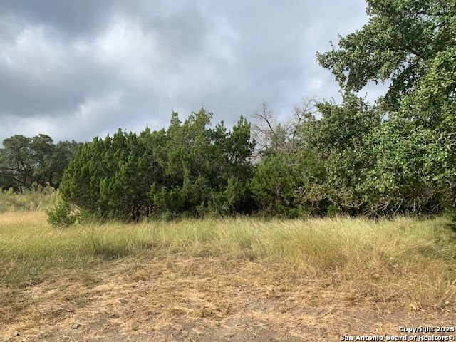 523 OAK SHORES DR, Canyon Lake, TX 78133