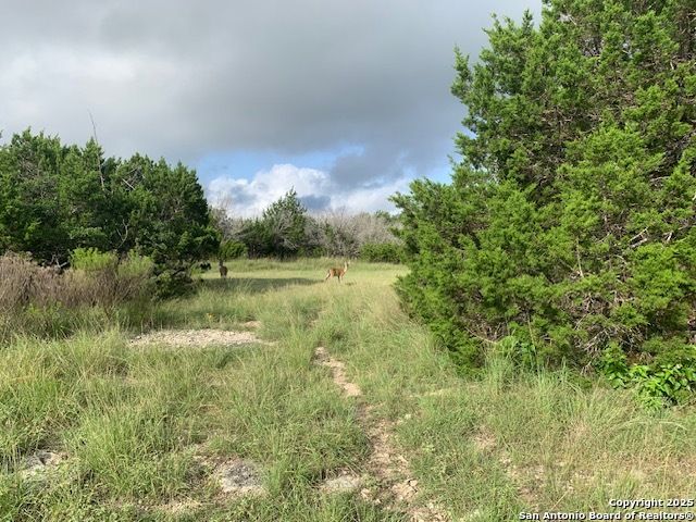 523 OAK SHORES DR, Canyon Lake, TX 78133