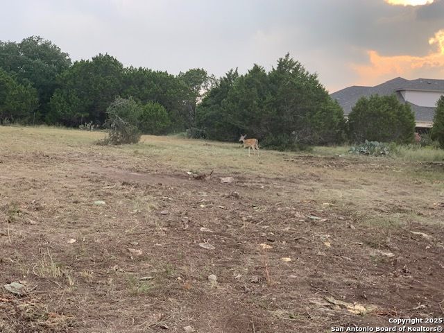 523 OAK SHORES DR, Canyon Lake, TX 78133