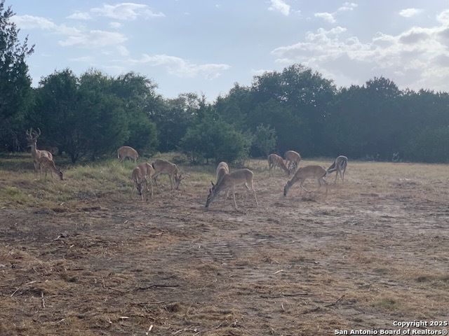 523 OAK SHORES DR, Canyon Lake, TX 78133