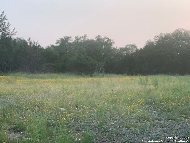 523 OAK SHORES DR, Canyon Lake, TX 78133