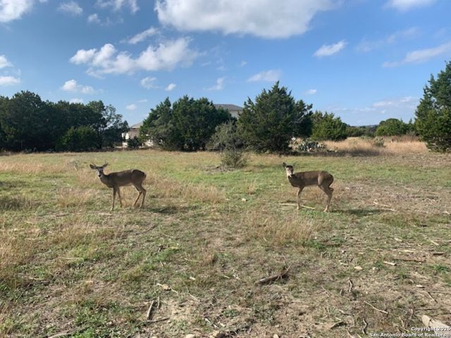 523 OAK SHORES DR, Canyon Lake, TX 78133