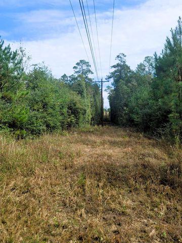 0000 Us Highway 190 E, Livingston, TX 77351