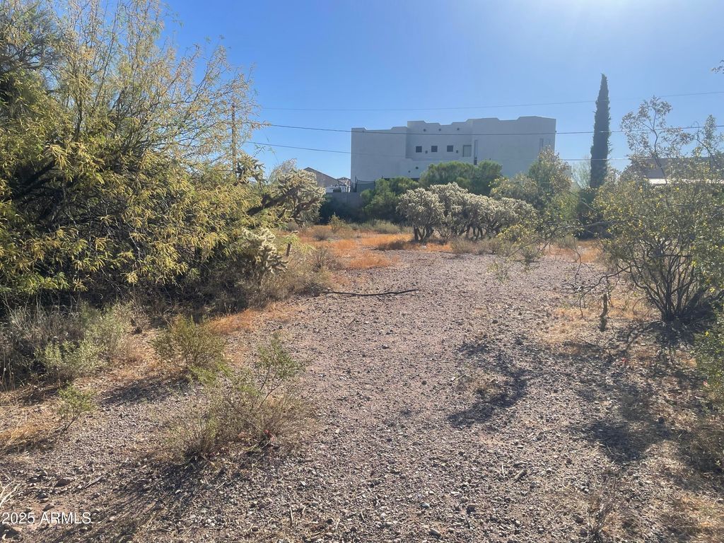 6039 S ALAMEDA Road 166, Gold Canyon, AZ 85118 — exterior