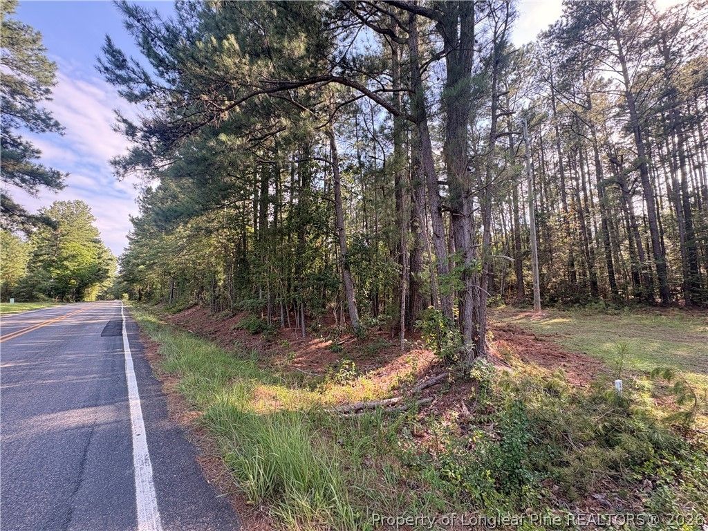 S Plank Road, Sanford, NC 27330 — photo 2