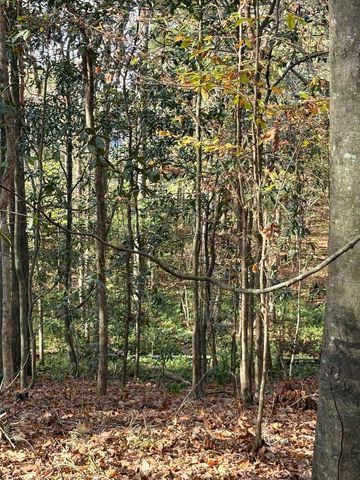 Quail Roost Dr., Quincy, FL 32352