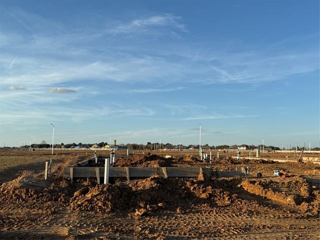 29014 Fig Vine Drive, Waller, TX 77484