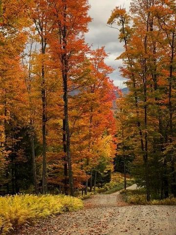 189 Oseetah Woods Road, Saranac Lake, NY 12983