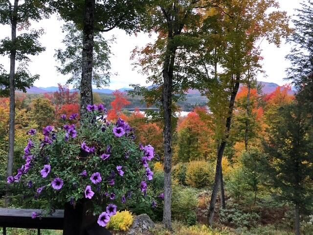 189 Oseetah Woods Road, Saranac Lake, NY 12983