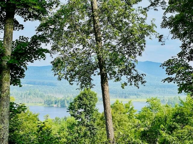 189 Oseetah Woods Road, Saranac Lake, NY 12983