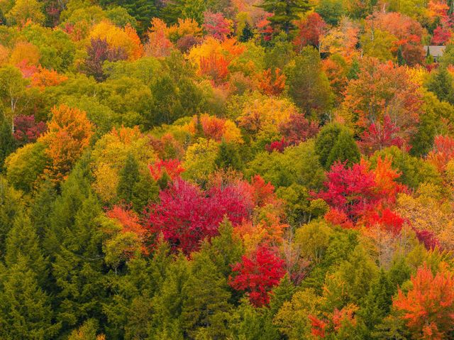 189 Oseetah Woods Road, Saranac Lake, NY 12983