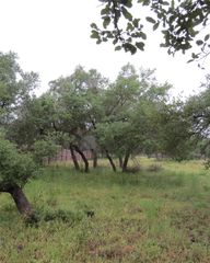 12 Pecos DR, Wimberley, TX 78676
